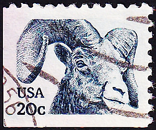 США 1982 год . Снежный баран (Ovis canadensis) . Каталог 6,0 €.(3)